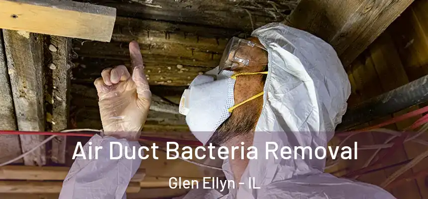  Air Duct Bacteria Removal Glen Ellyn - IL