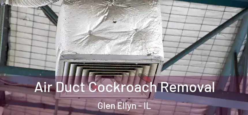  Air Duct Cockroach Removal Glen Ellyn - IL