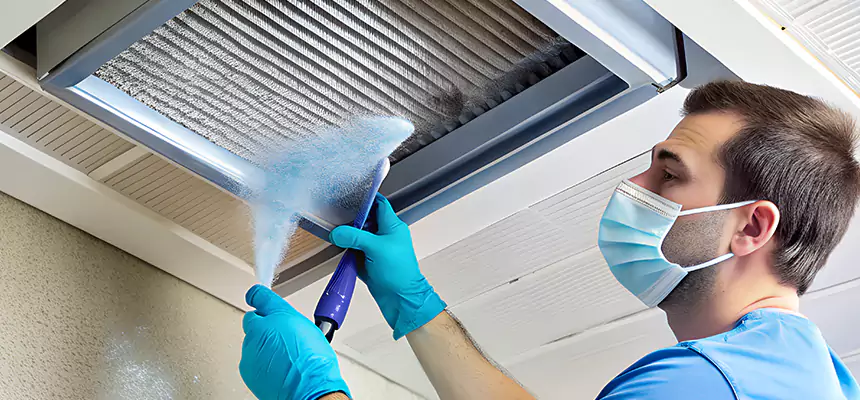 Proactive Dryer Vent & Auxiliary Duct Pollen Cleanup in Glen Ellyn, IL