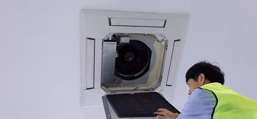 Our Dryer Vent Sanitization Service Services in Glen Ellyn, IL