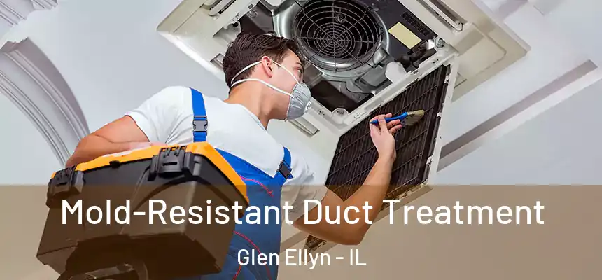  Mold-Resistant Duct Treatment Glen Ellyn - IL