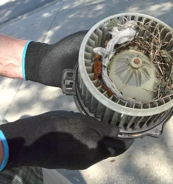 About Air Duct Mice Removal in Glen Ellyn, IL