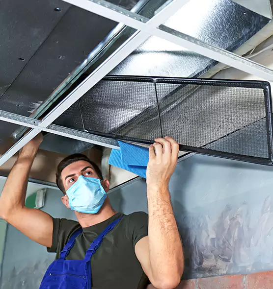 Professional Air Duct Pollen Cleaning in Glen Ellyn, IL