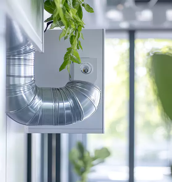 Professional Eco-Safe Dryer Vent Cleaning in Glen Ellyn, IL