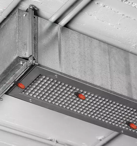 Affordable Insect Removal from Air Ducts in Glen Ellyn, IL