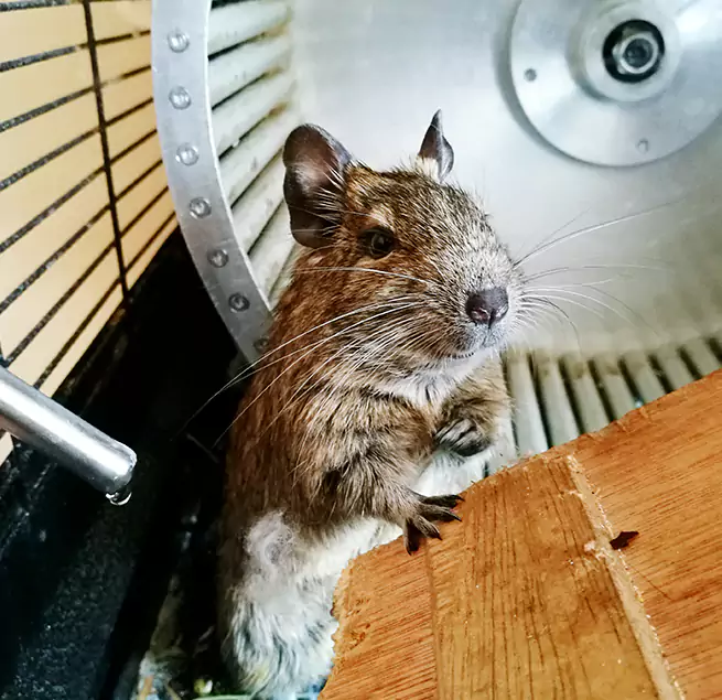 Why Homeowners & Businesses Trust Us Glen Ellyn, IL